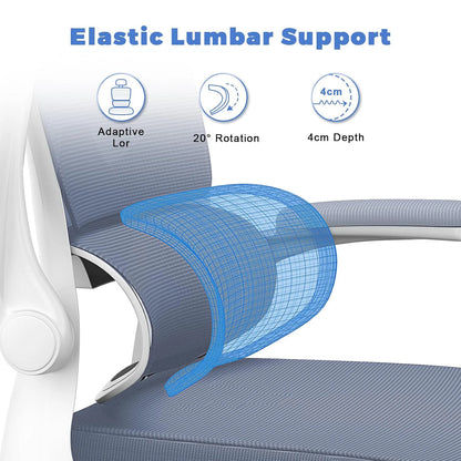 Naspaluro Ergonomic Mesh Office Chair