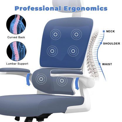Naspaluro Ergonomic Mesh Office Chair